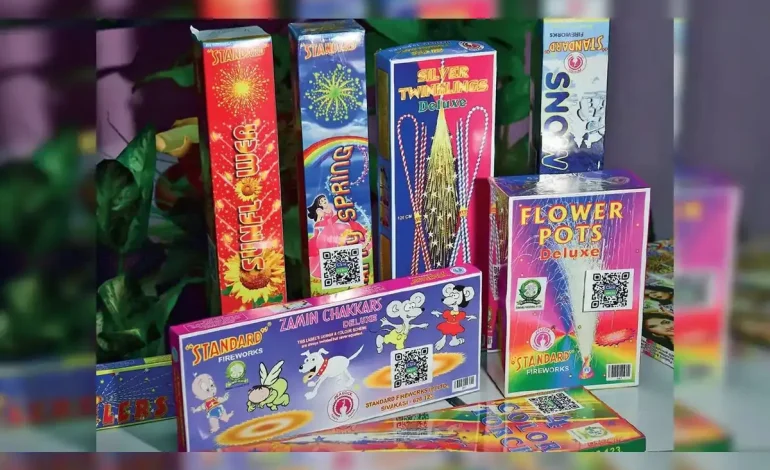 Green Crackers Only: India’s Push for an Eco-Friendly Diwali